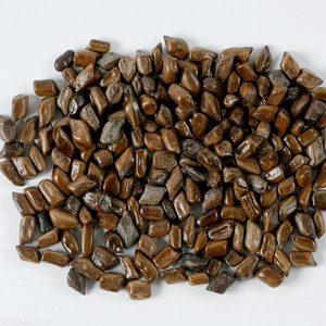 Manufacturer International Supplier Wild Cassia Tora 100% Natural Pure & Clean Optimum Quality juemingzi Seeds