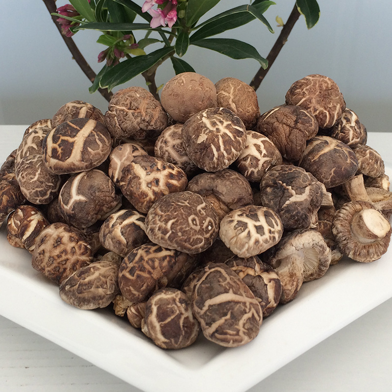 Bulk Edible  Mushrooms Dried Shiitake Mushrooms