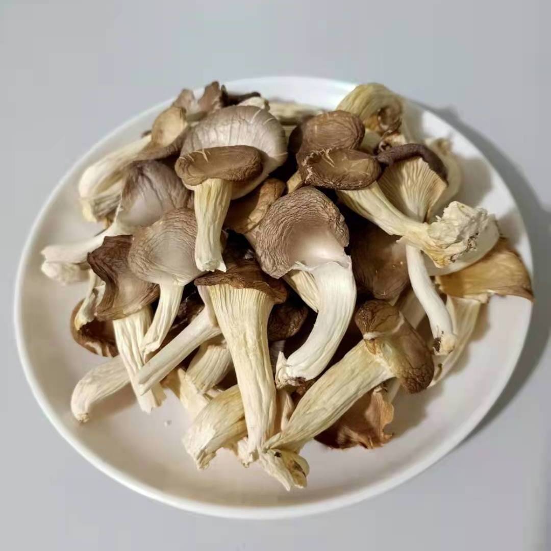 Wholesale Crisp And Delicious Dried Mushroom Oyster Mushroom