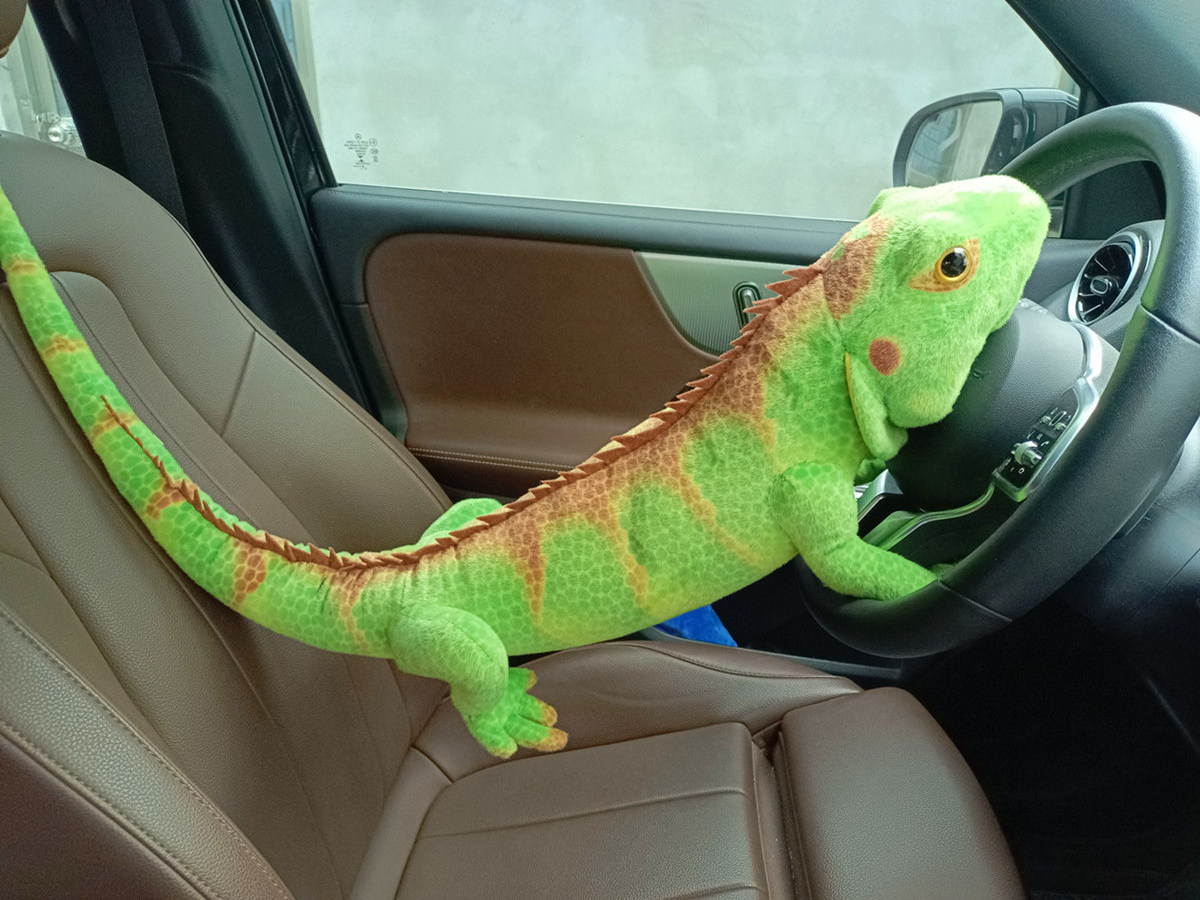 Real Life Lizard Plush Toy Realistic Simulated Stuffed Wild Animals Toys Lifelike Green Lizards Toy Bearded Dragon for kids bed