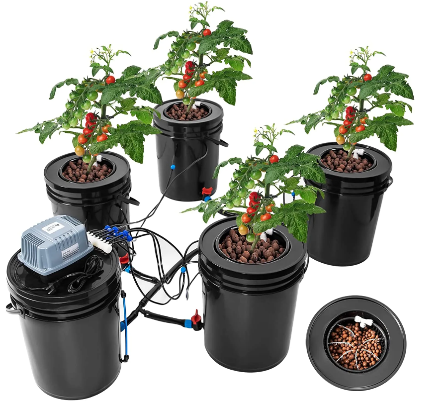 dwc hydroponics 5 gallon bucket system Indoor Plant Growth