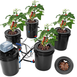 dwc hydroponics 5 gallon bucket system Indoor Plant Growth