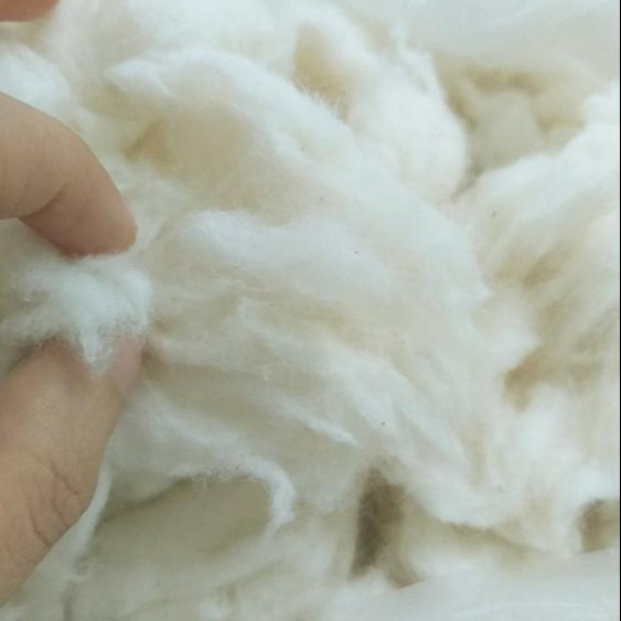 Raw Cotton Bales Combed Organic Cotton Yarn