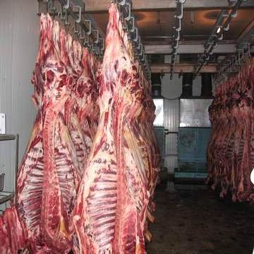 Halal Frozen Lamb/ Sheep/ Mutton Meat