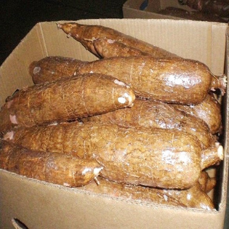 Best Price High Quality Dried Slice Cassava