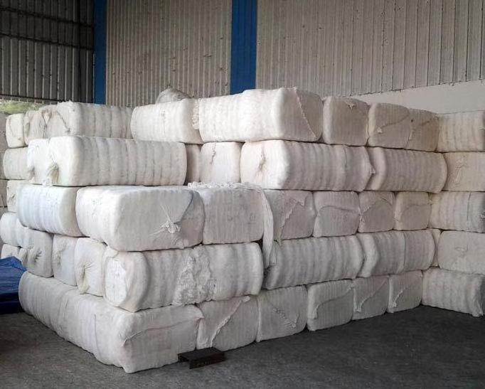 Raw Cotton Bales Combed Organic Cotton Yarn