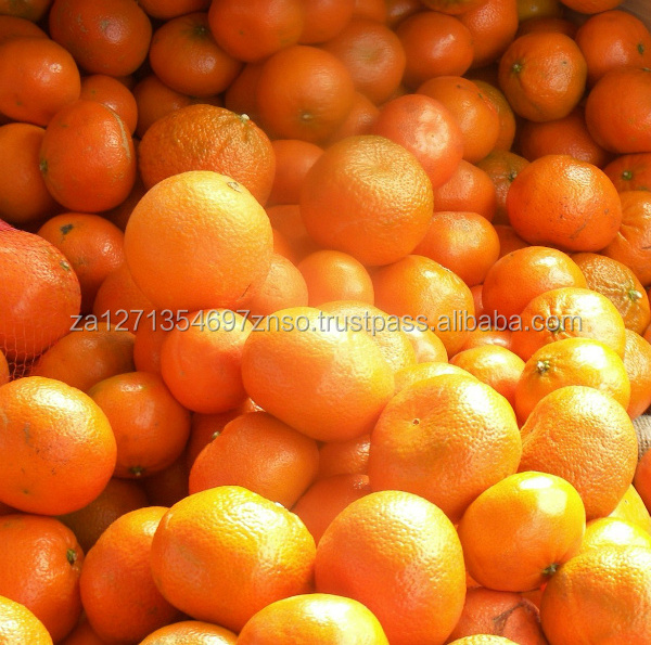 FRESH NAVEL Oranges AND VALENCIA ORANGES Fresh Sweet Valencia Orange/ Navel Orange from South Africa Origin Available.