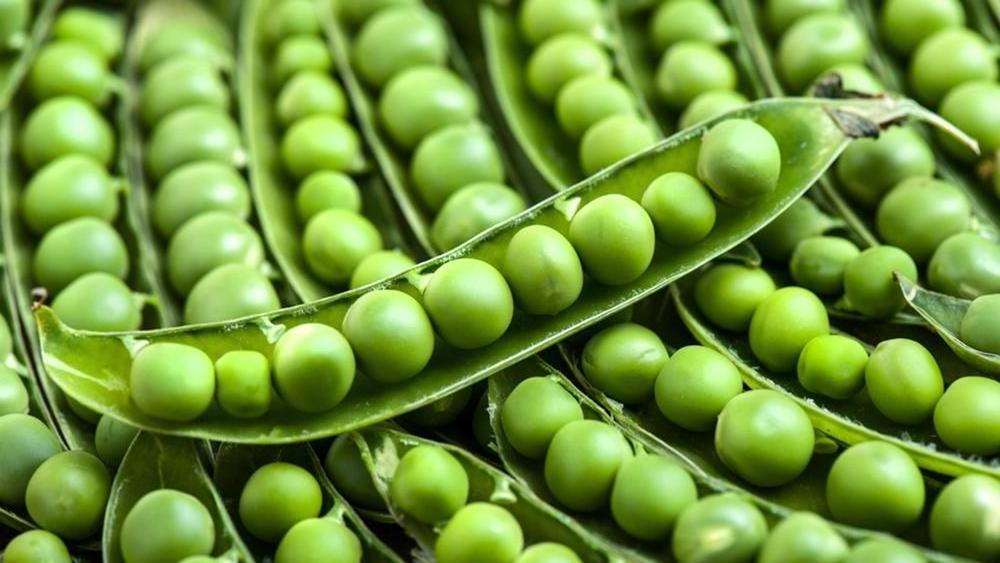 Premium Frozen Sweet Green Peas for Importers High Quality  IQF Frozen Green peas frozen vegetables for sale at good prices