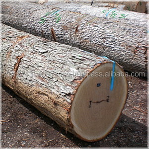 IROKO WOOD PADOUK, SAWN TIMBER WENGE, DOUSSIE, SAPELLI, AZOBE, ZEBRANO ROUND LOGS AVAILABLE FOR EXPORT