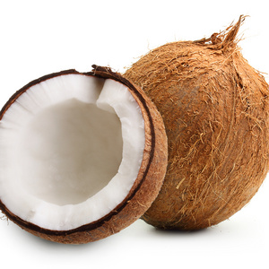 100% Natural Semi Husked Coconut Customized logo and Packaging Fresh Coconuts With 3 Months Shelf Life