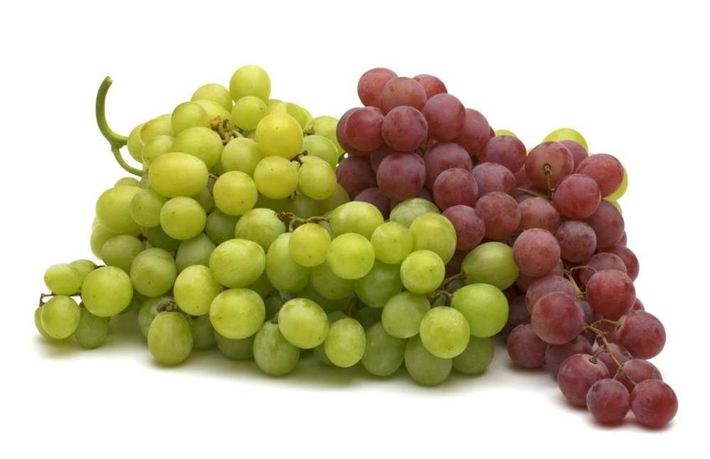 Hot Sale High Quality South Africa Fresh Grapes Sugar: 19%/Red grapes and Seedless Fresh Grapes for sale