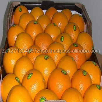 FRESH NAVEL Oranges AND VALENCIA ORANGES Fresh Sweet Valencia Orange/ Navel Orange from South Africa Origin Available.