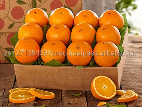 FRESH NAVEL Oranges AND VALENCIA ORANGES Fresh Sweet Valencia Orange/ Navel Orange from South Africa Origin Available.