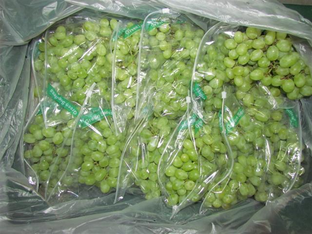 Hot Sale High Quality South Africa Fresh Grapes Sugar: 19%/Red grapes and Seedless Fresh Grapes for sale