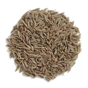 Cummin Seed Premium Quality | South Africa Cumin Seed | Cumin Seed