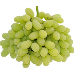 Hot Sale High Quality South Africa Fresh Grapes Sugar: 19%/Red grapes and Seedless Fresh Grapes for sale