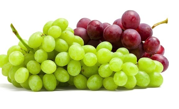 Hot Sale High Quality South Africa Fresh Grapes Sugar: 19%/Red grapes and Seedless Fresh Grapes for sale