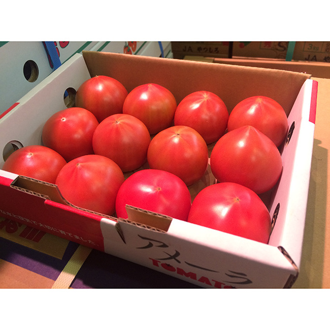 Fresh Round Quality Iron Red Tomatoes for Sale