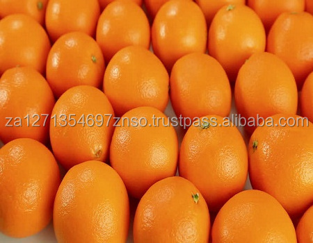 FRESH NAVEL Oranges AND VALENCIA ORANGES Fresh Sweet Valencia Orange/ Navel Orange from South Africa Origin Available.