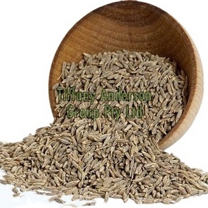 black cumin seed in bulk Cumin Seeds 99%  best quality bulk suppliers  black Cumin Seeds for sale