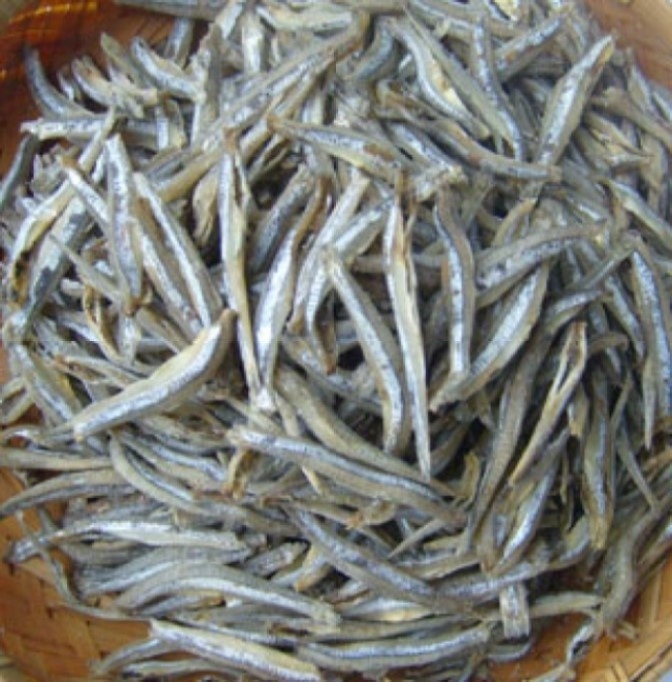 anchovy dry halal quality certified dried salted anchovies all natural no sugar bulk order  dry fish anchovy