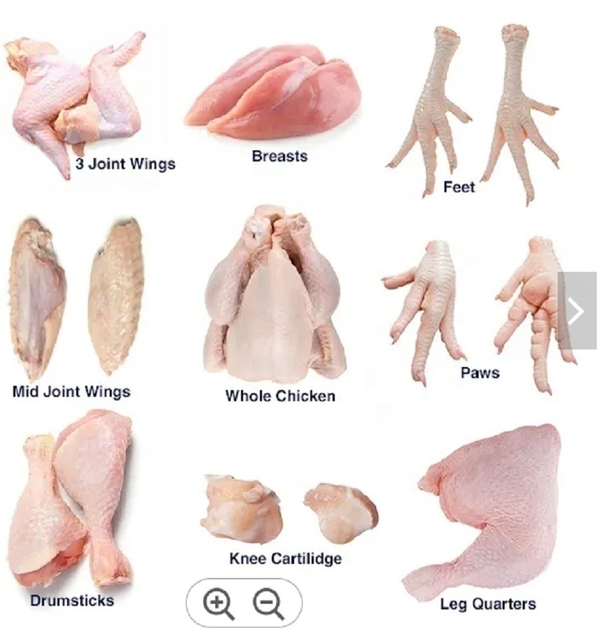 poultry meat food grade 10kg 25tons 15days  whole chicken frozen processed whole chicken