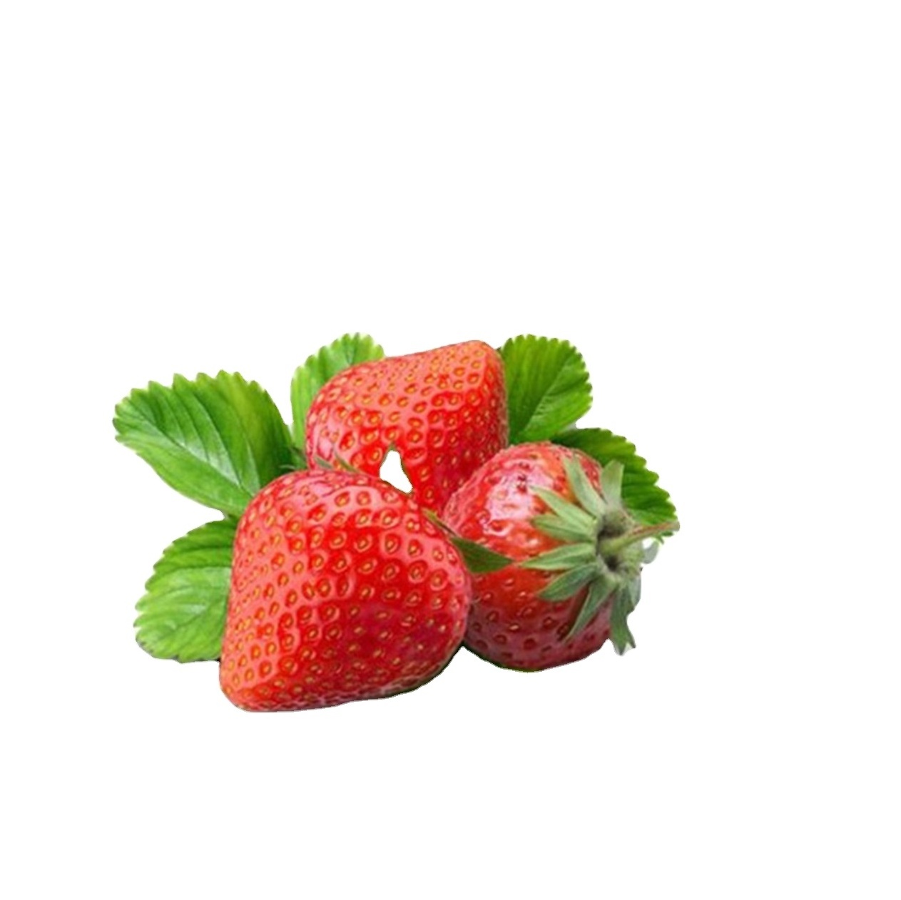 fresh frozen strawberry sale price  fresh strawberry frozen berries berry strawberries seeds fruits from South Africa