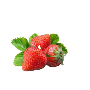 fresh frozen strawberry sale price  fresh strawberry frozen berries berry strawberries seeds fruits from South Africa