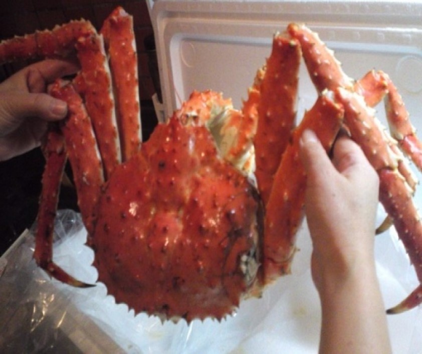 wholesale king crab from norway alive king frozen cut swimming crab purse offer high quality  alaskan king crab