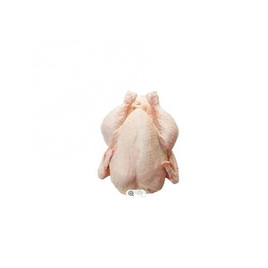 poultry meat food grade 10kg 25tons 15days  whole chicken frozen processed whole chicken