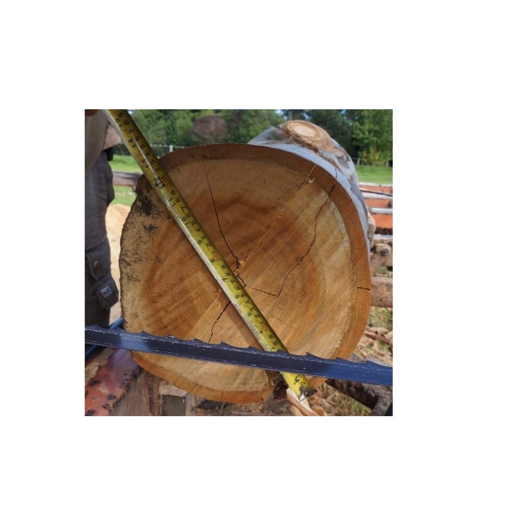 protection color cut white and black african logs hardwood timber prices pine wood