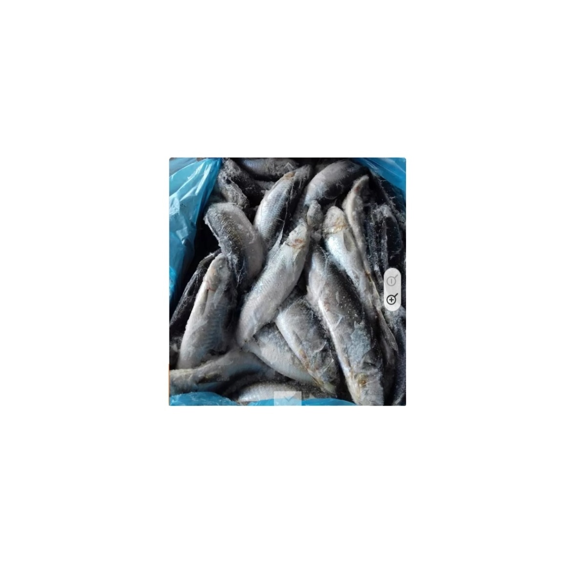 frozen herring fillets nutritious cheap frozen herring fillets snakehead frozen herring fillets