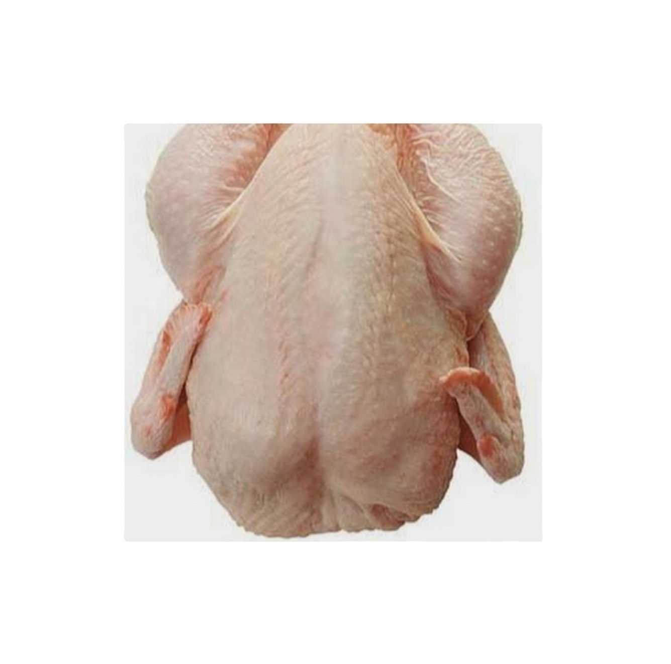 hard Body Chicken Style Packaging Kind Feature Weight processed food 10kg cartons 25tons chicken paws frozen chicken feet