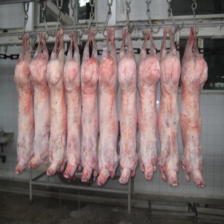 halal beef buffalo best boneless meat for sale boneless lamb legs halal meat slaughterhouse canned buffalo meat canned