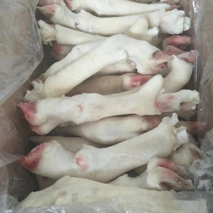 Wholesale custom private label CHILLED GOAT MUTTON LAMB MEAT CARCASS food sheep meat frozen lamb feet