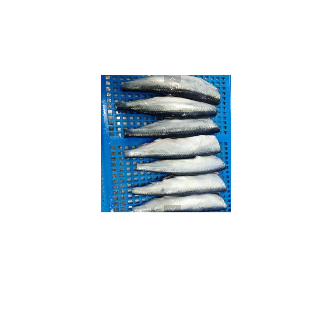 round herring fish nutritious whole frozen herring fish  supplier for food smoked whole frozen herring fish