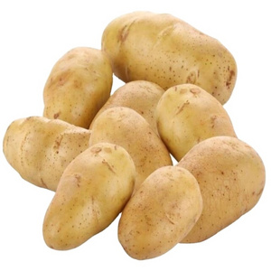 high quality cheap price professional export wholesalers fresh potato for sale Vegetable Fresh Potato Fresh holland potatoes