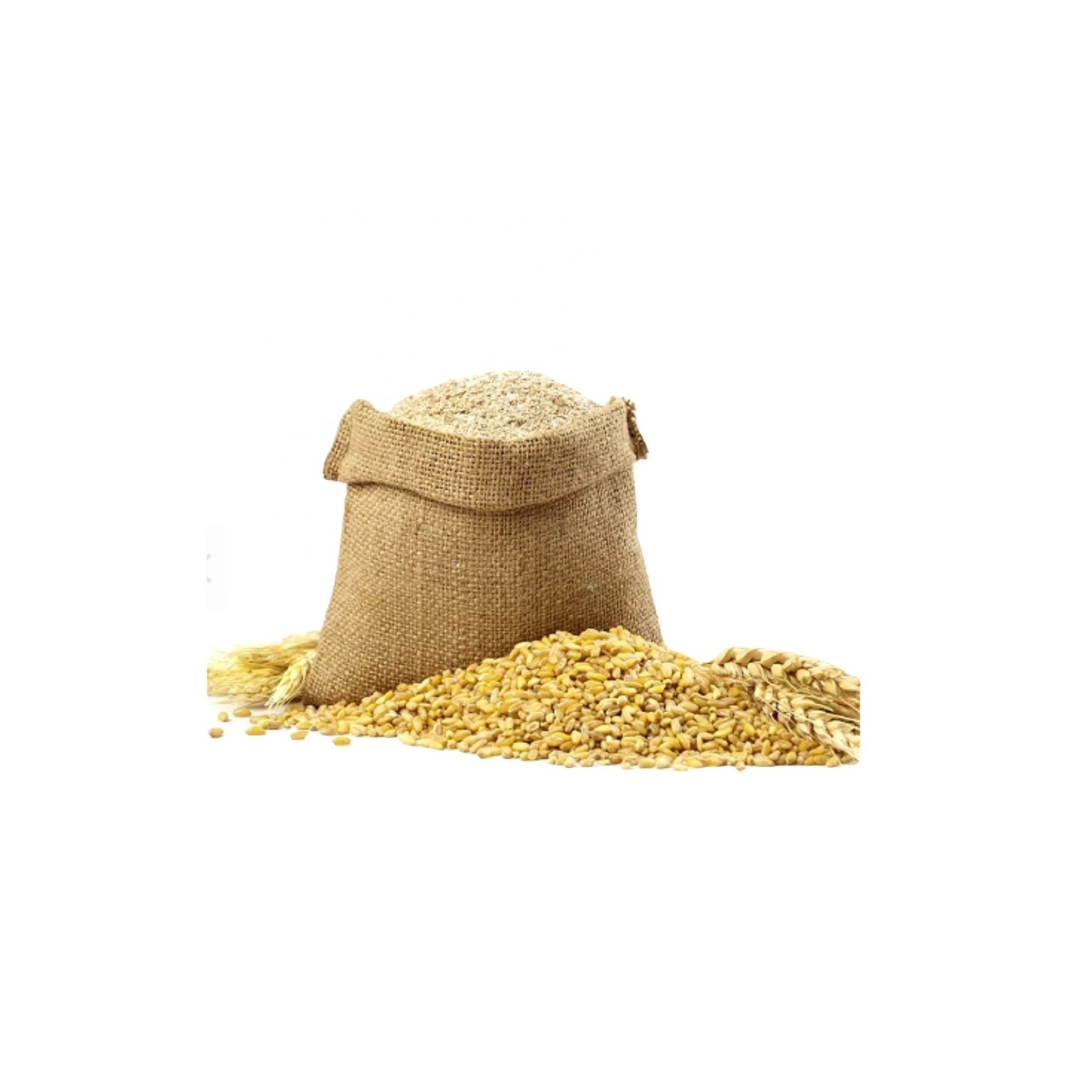 Wholesale custom private label Packaging wheat flour durum halal all-purpose flour 99 % fineness wheat gluten price