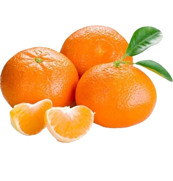 premium grade import navel orange with wholesale price for sale packing in boxes  fruit  dry orange fruit  orange fresh