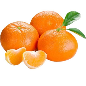 premium grade import navel orange with wholesale price for sale packing in boxes  fruit  dry orange fruit  orange fresh