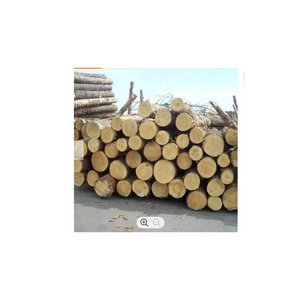 130KW Energy Saving Industrial wood Logs of 6 ft length and durable ebony wood block for sale teak sawn timber teak lumber wood