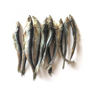 smoked herring fish dried nutritious fat delicious herring prices for sale herring fish price