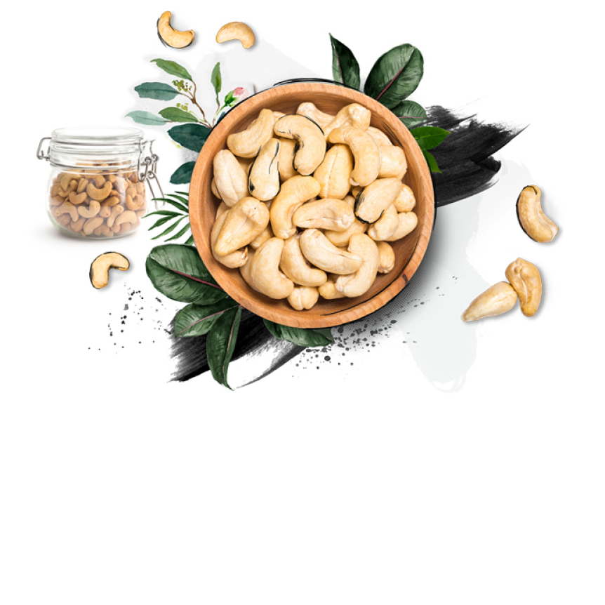 cashew nuts packing for sale processed raw cashew nut prices