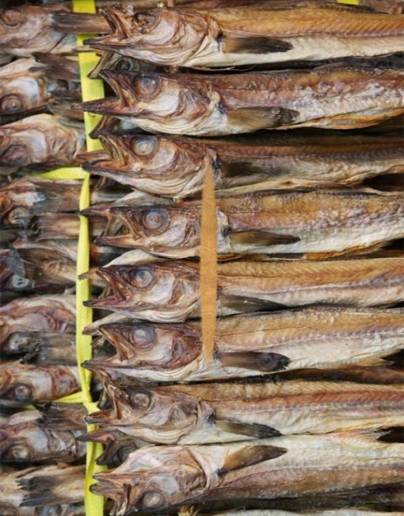 fresh tilapia supplier  dry fish cheap wholesale whole delicious fish dry dried tuna fish