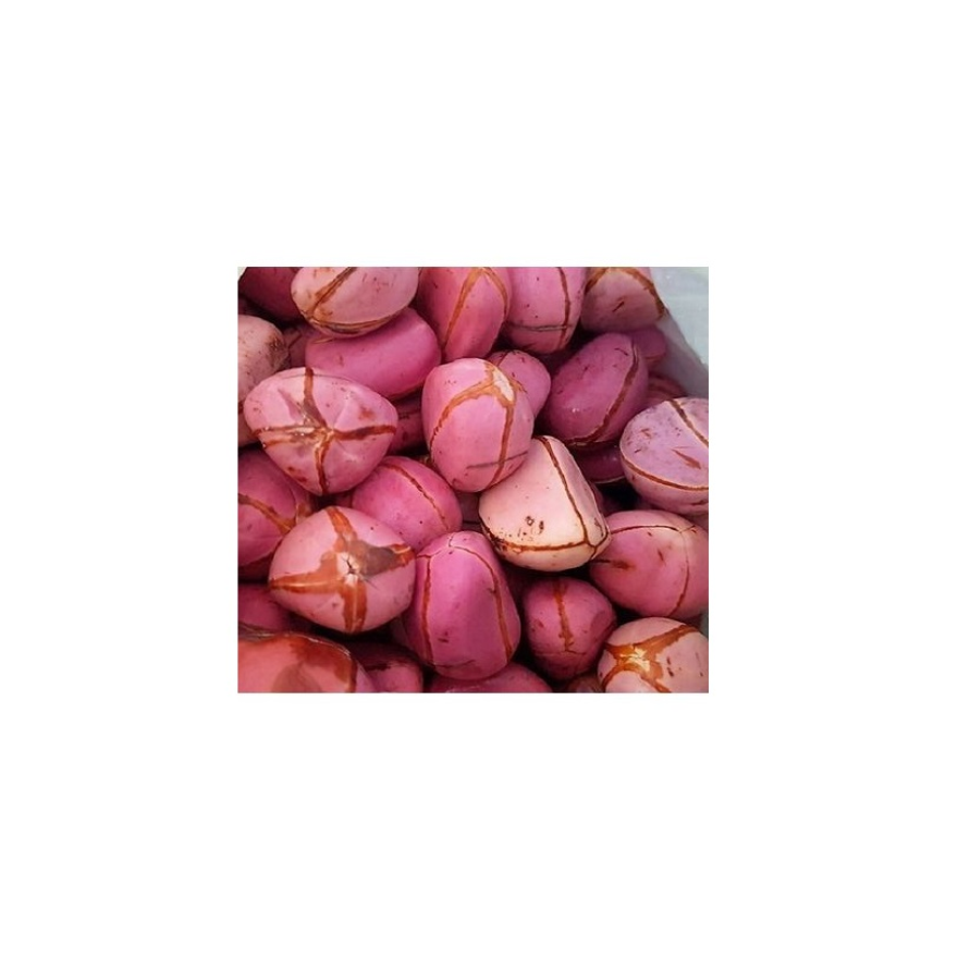 organic tiger nuts fresh chufa green garcinia nut fresh african kola nutkola natida fresh kola nuts for sale