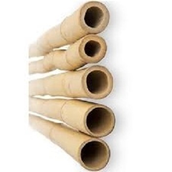 raw bamboo pole cheap price / natural bamboo cane