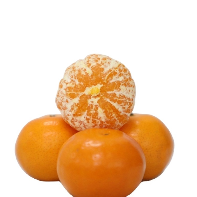 fresh Valencia orange and Mandarin oranges, Citrus from Egypt , Ready to export season 2020