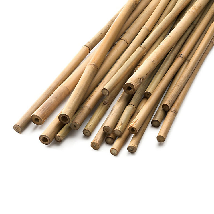 raw bamboo pole cheap price / natural bamboo cane