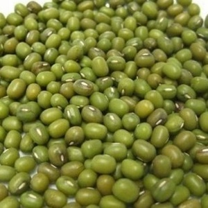 Green Mung Bean latest crop supply different size mung beans