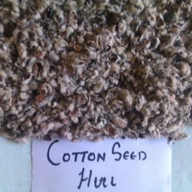 Premium Quality Cotton seed hulls for sale